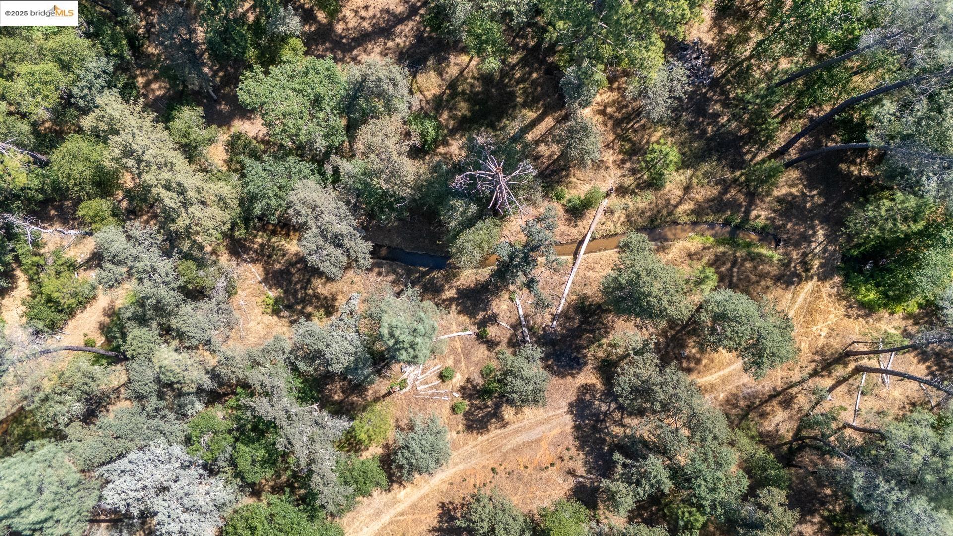 14464 Lorraine Lane, Sonora, CA, 95370