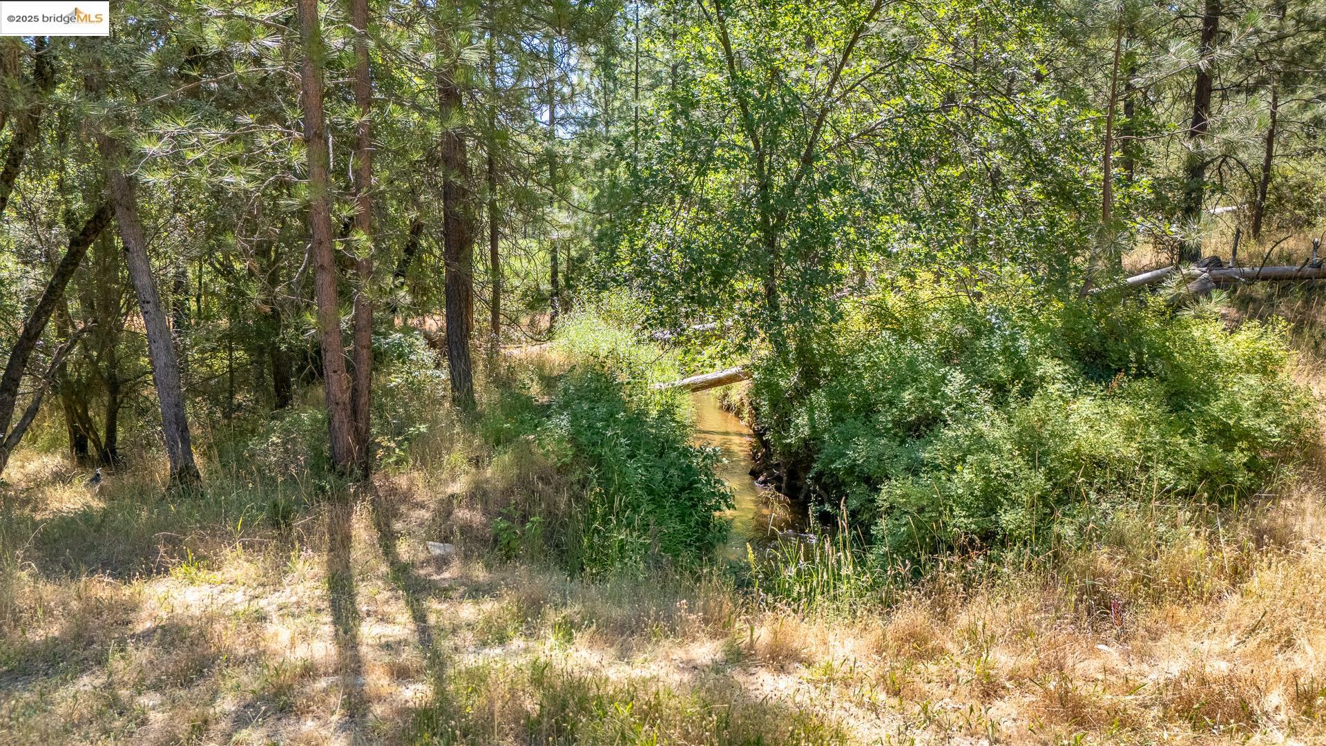 14464 Lorraine Lane, Sonora, CA, 95370