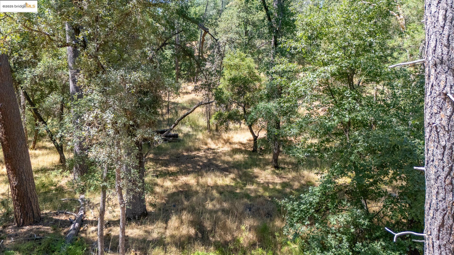 14464 Lorraine Lane, Sonora, CA, 95370