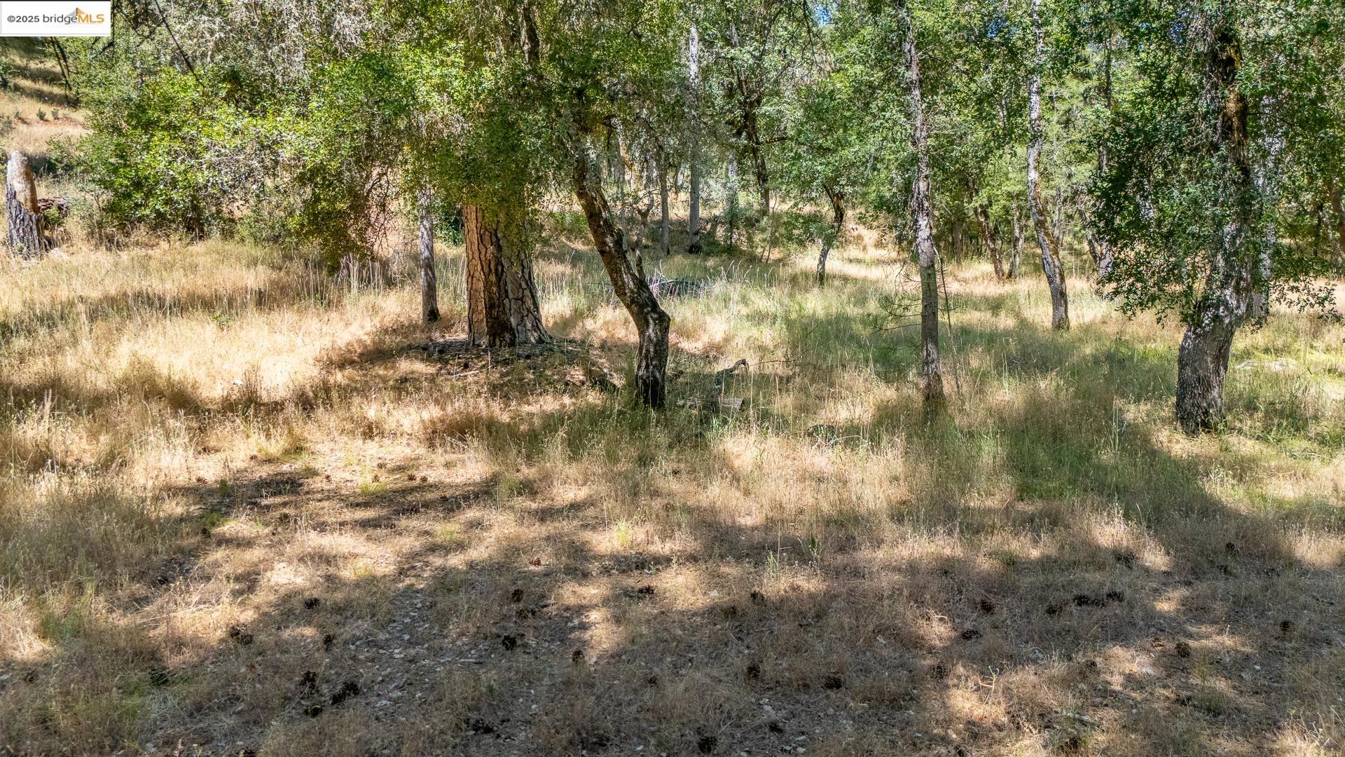 14464 Lorraine Lane, Sonora, CA, 95370