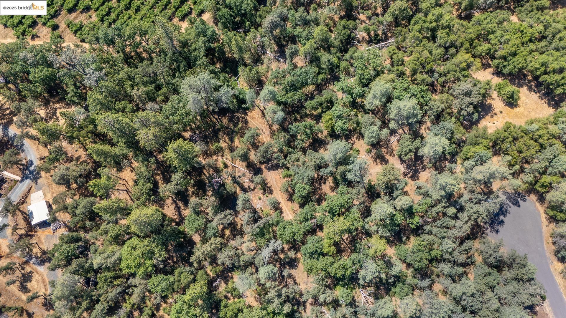 14464 Lorraine Lane, Sonora, CA, 95370