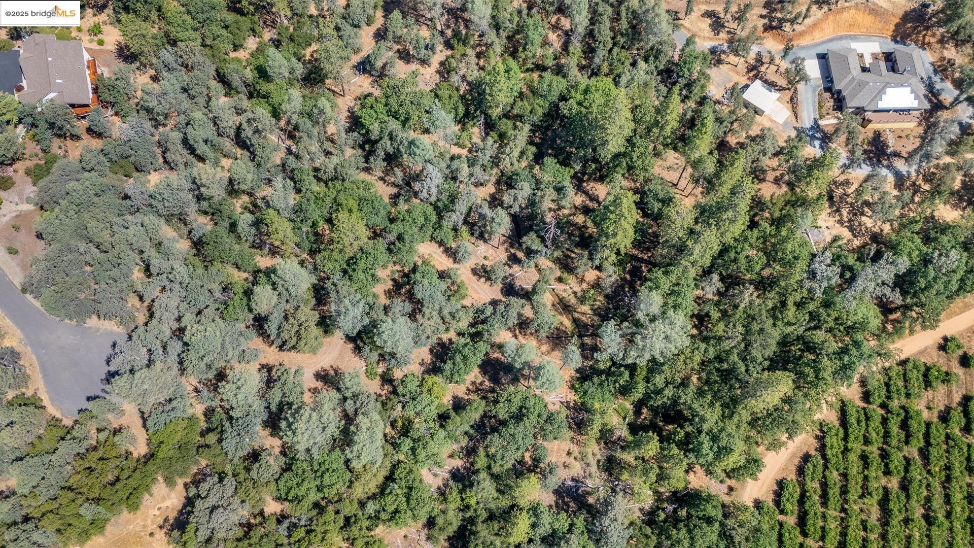 14464 Lorraine Lane, Sonora, CA, 95370
