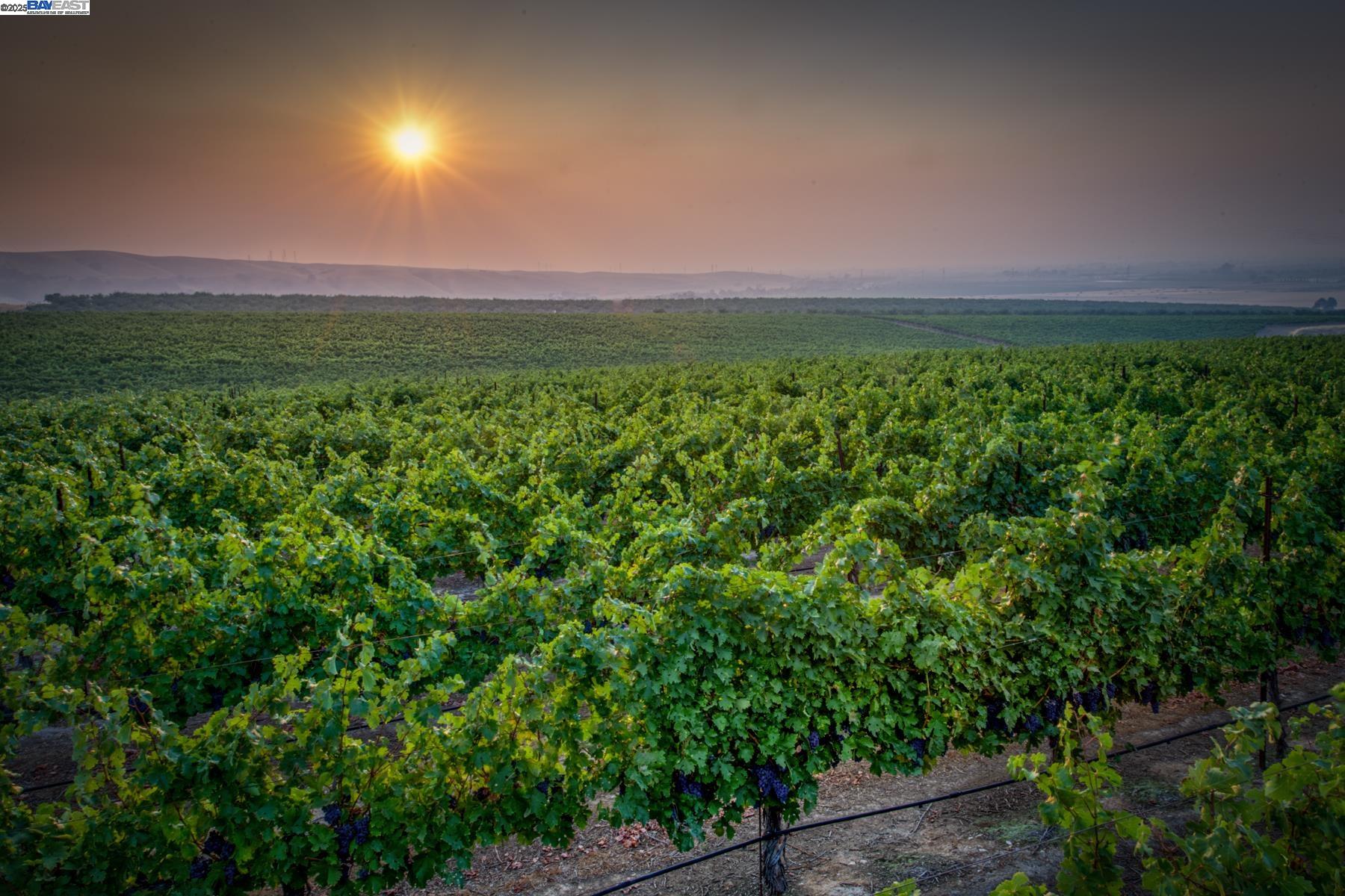 5625 Greenville Rd, Livermore, CA, 94550