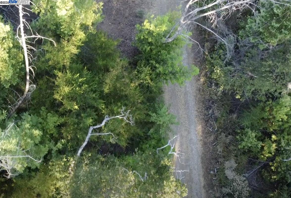 0000 Bartlett Way, Belmont, CA, 94002