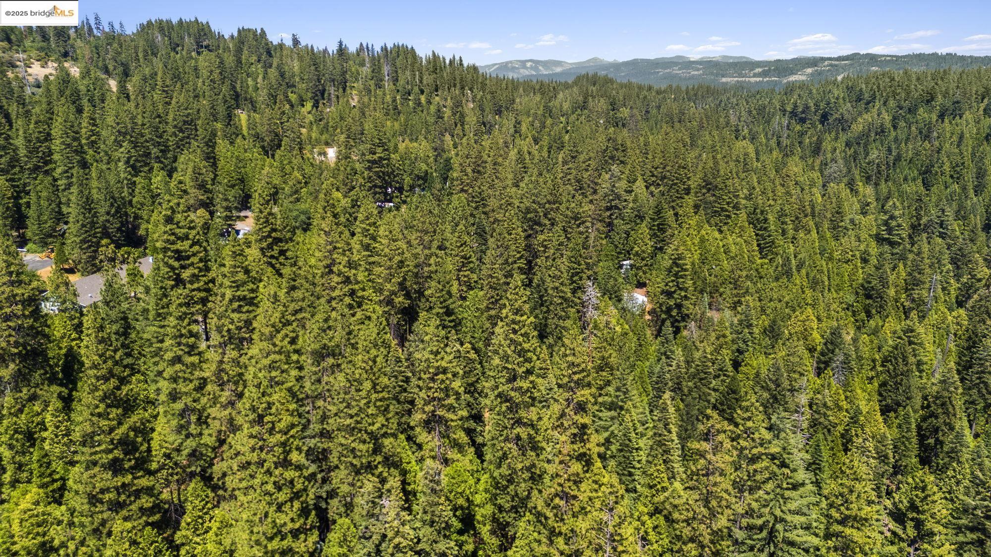 Detail Gallery Image 30 of 44 For 22742 Conifer Court, Long Barn,  CA 95335 - 1 Beds | 1 Baths