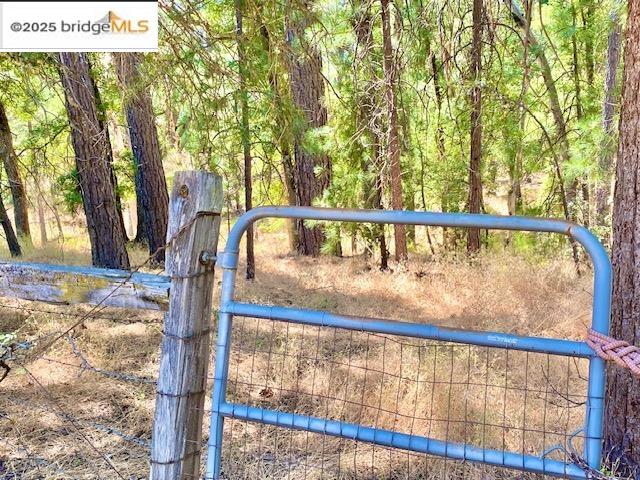 11350 Big Creek Shaft Rd, Groveland CA 95321 — photo 21
