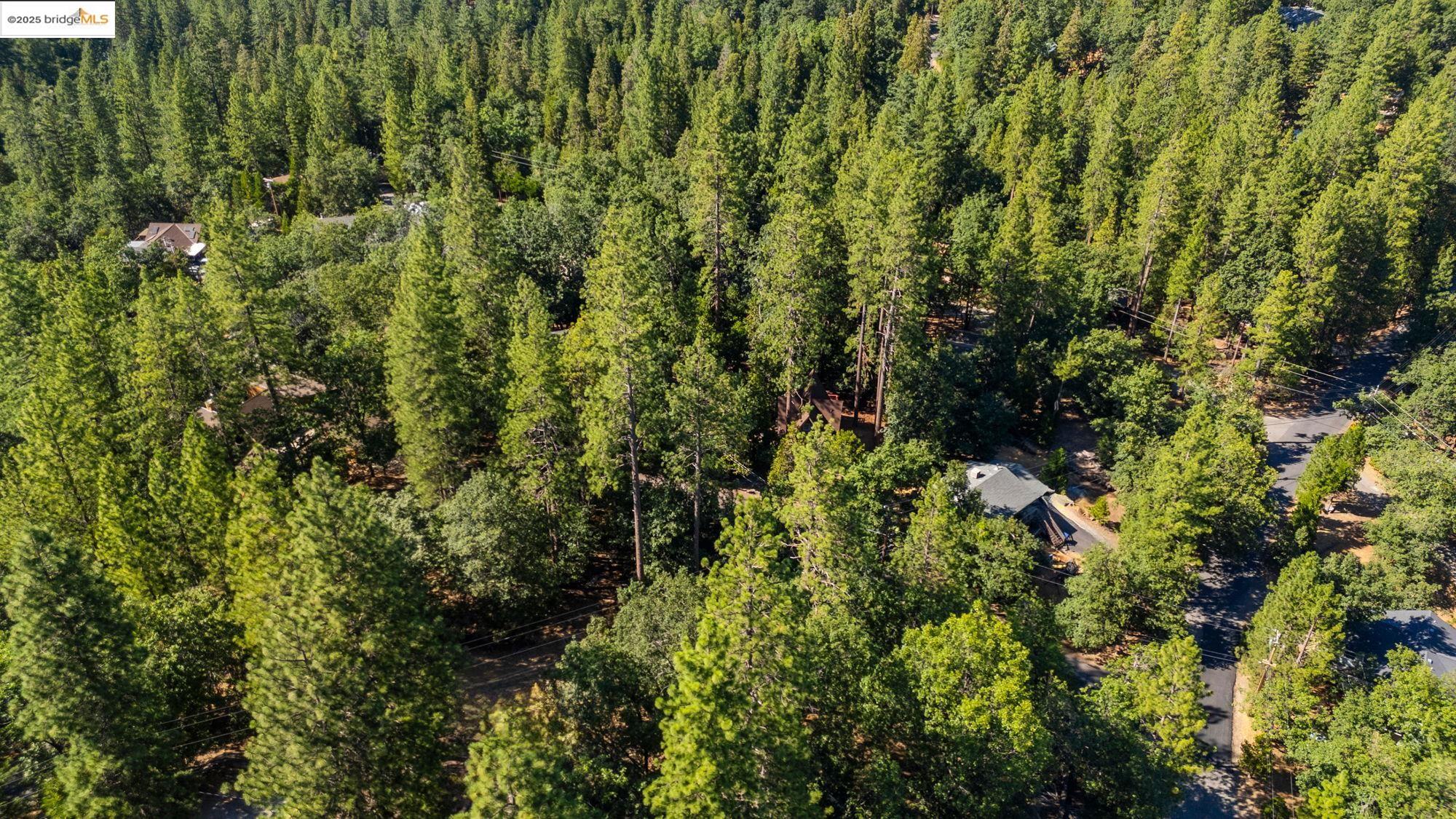 23983 Pack Trail Rd, Sonora, CA, 95370