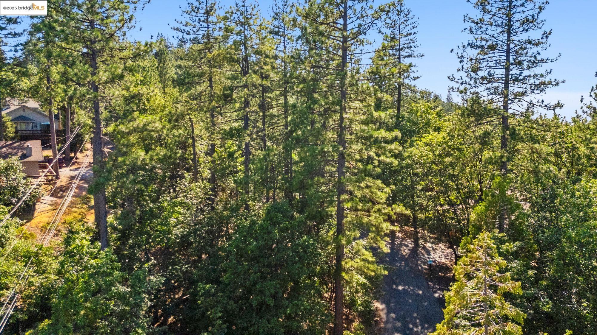 23983 Pack Trail Rd, Sonora, CA, 95370