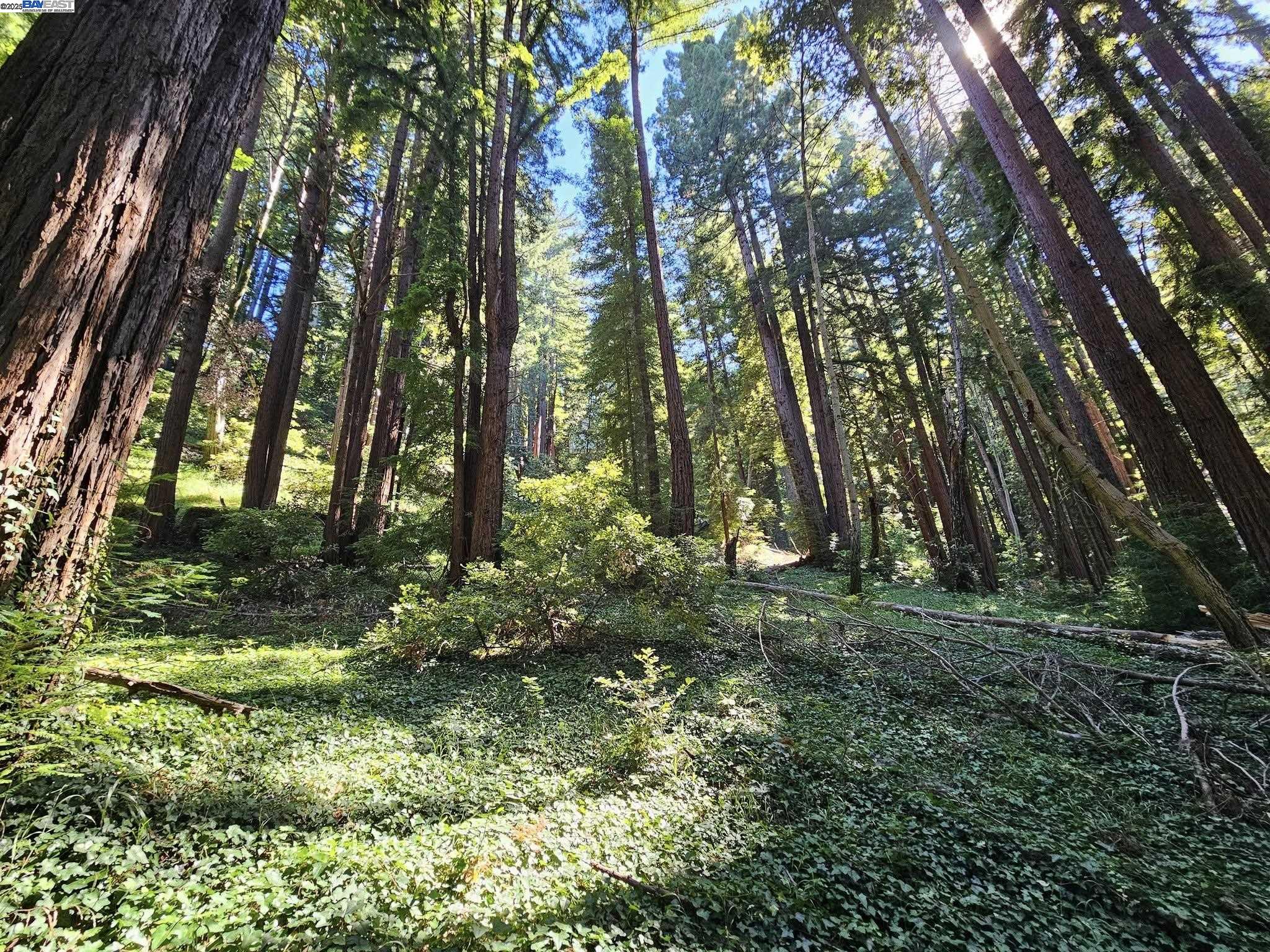 Lot26 Old La Honda Rd, Woodside CA 94062