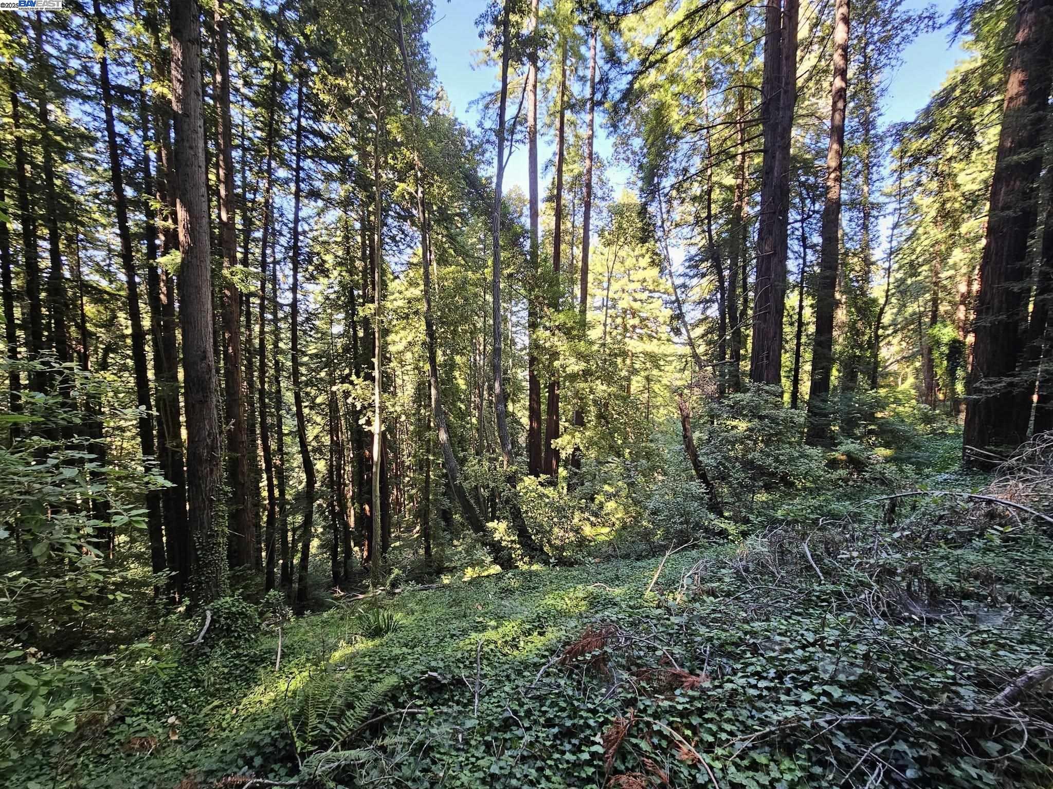 Lot26 Old La Honda Rd, Woodside CA 94062 — photo 2