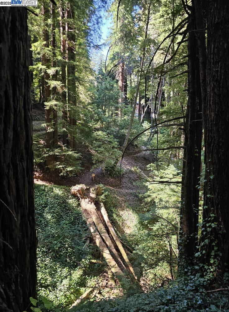 Lot26 Old La Honda Rd, Woodside CA 94062 — photo 4