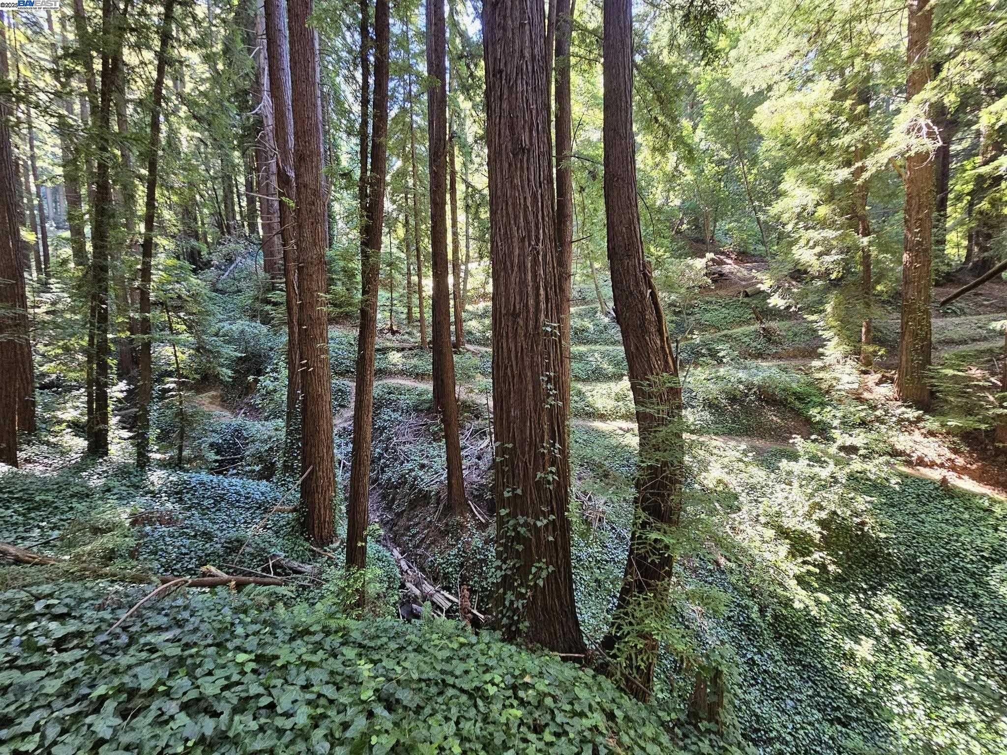 Lot26 Old La Honda Rd, Woodside CA 94062 — photo 5