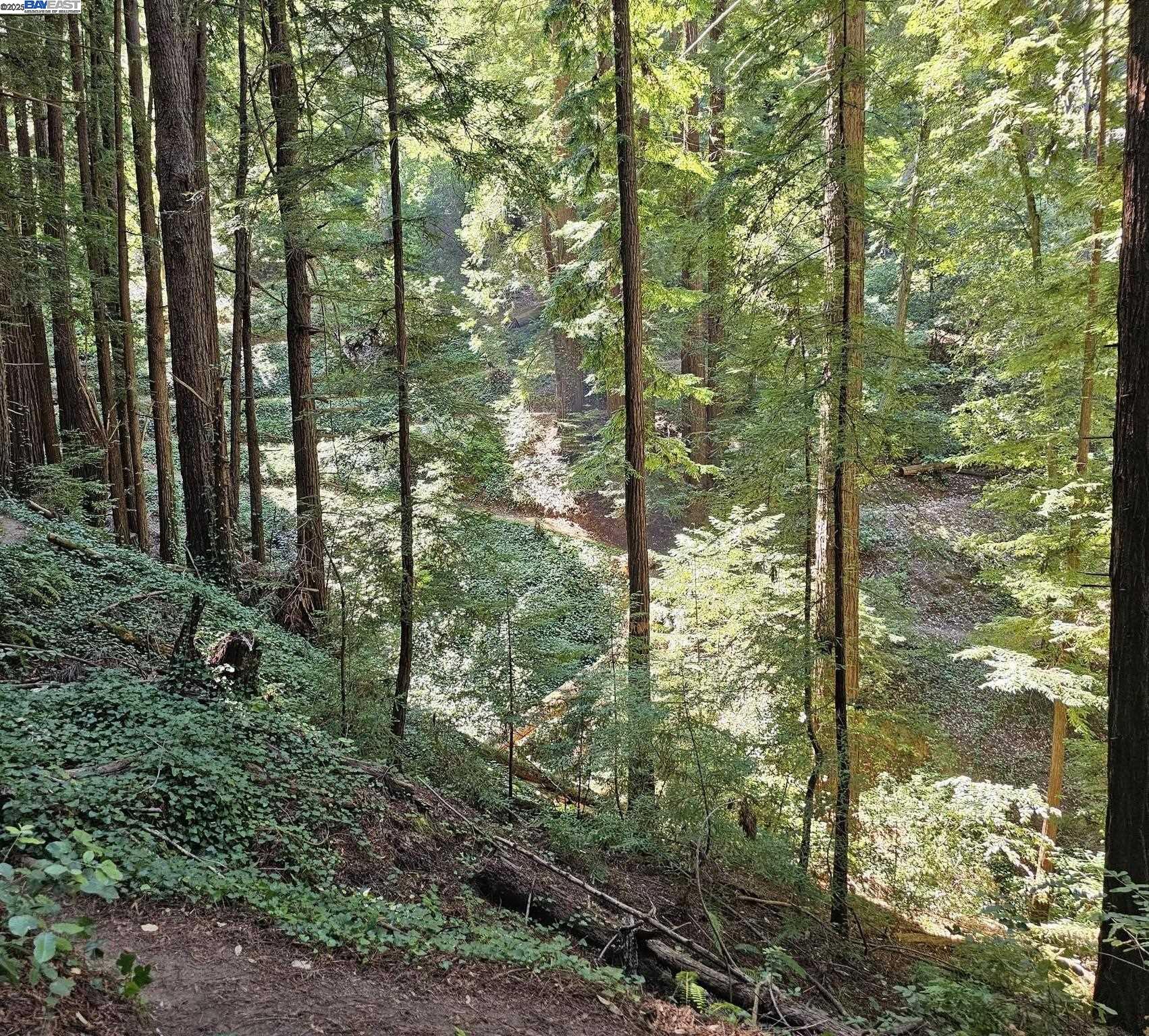 Lot26 Old La Honda Rd, Woodside CA 94062 — photo 7