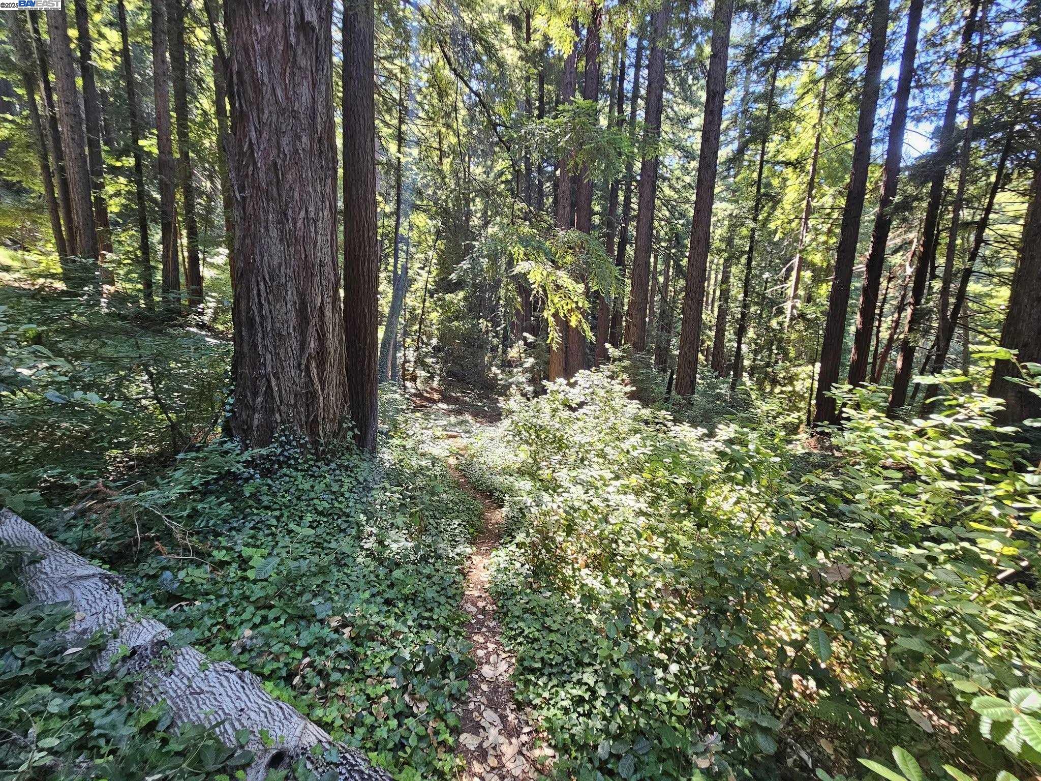 LOT27 Old La Honda Rd, Woodside CA 94062