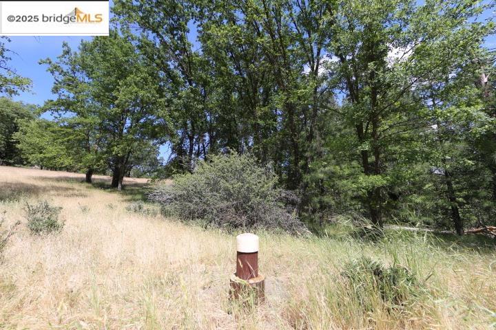 22000 Ferretti Rd., Groveland CA 95321 — photo 4