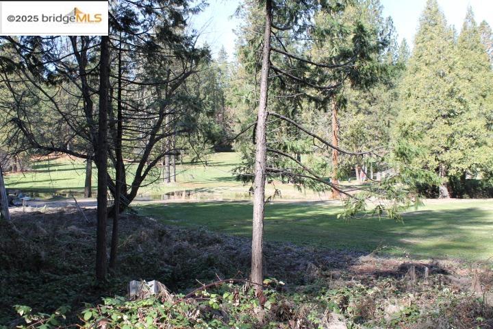 22846 Fuller Rd, Twain Harte, CA, 95383