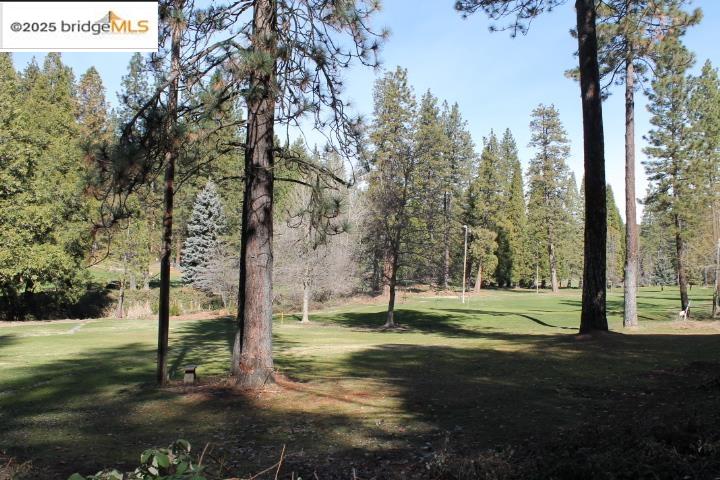 22846 Fuller Rd, Twain Harte, CA, 95383