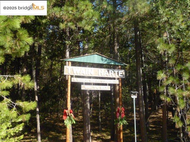 22846 Fuller Rd, Twain Harte, CA, 95383