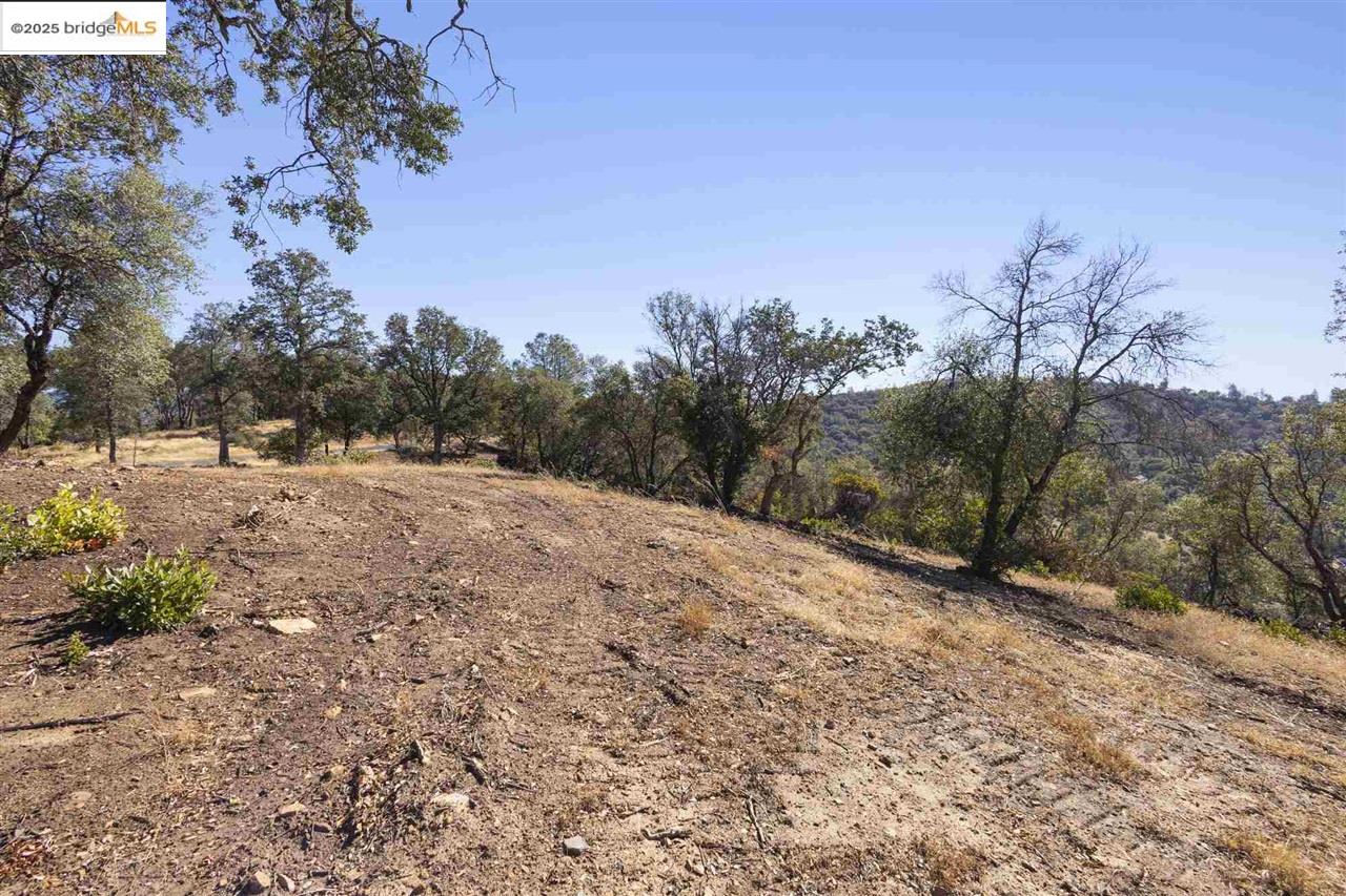 17880 State Highway 120, Big Oak Flat CA 95305 — photo 7