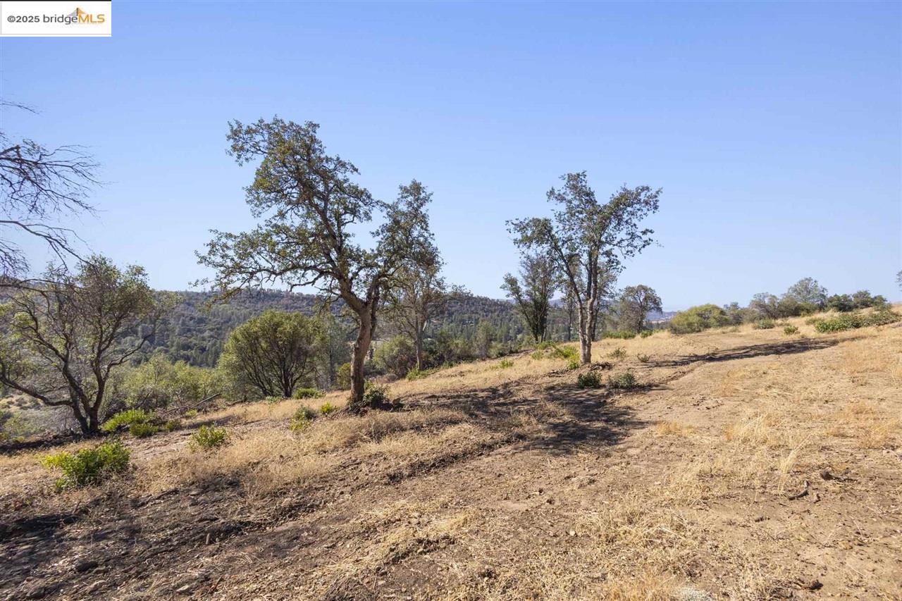 17880 State Highway 120, Big Oak Flat CA 95305 — photo 8