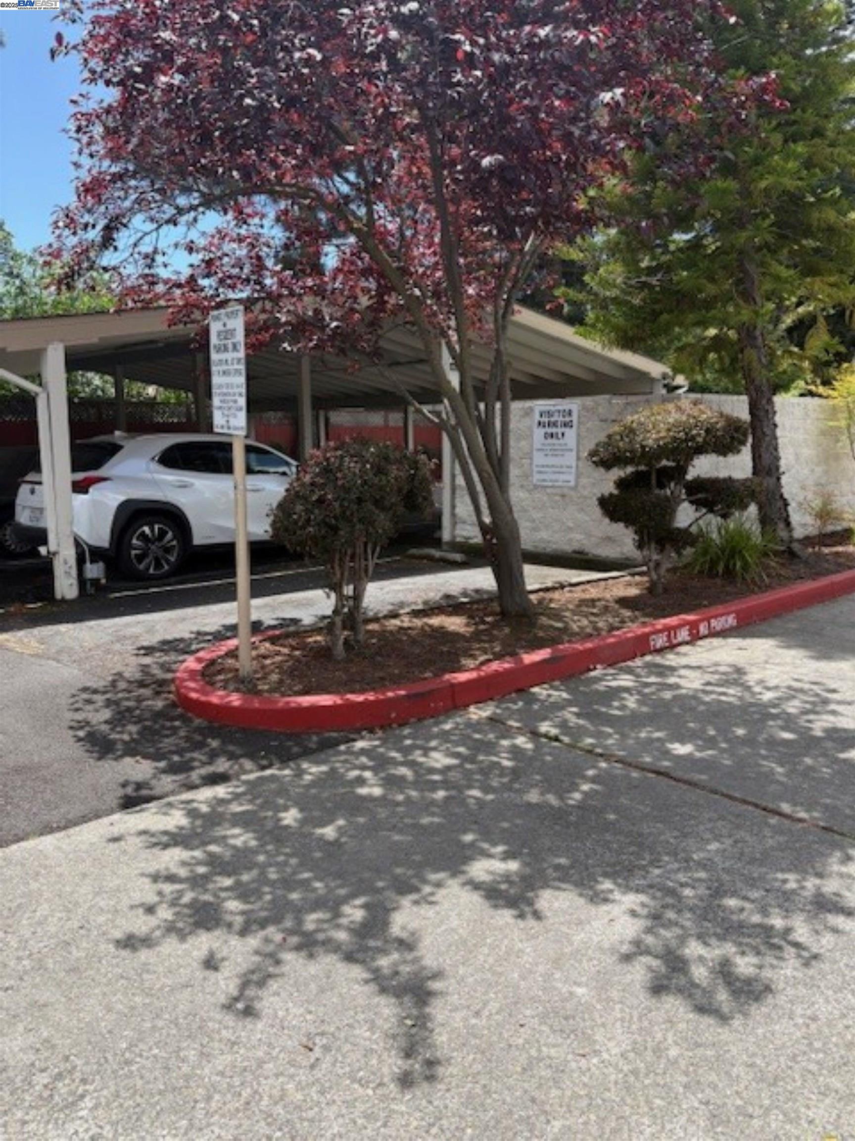 Photo #19: 41107787 Listing: Photo #19