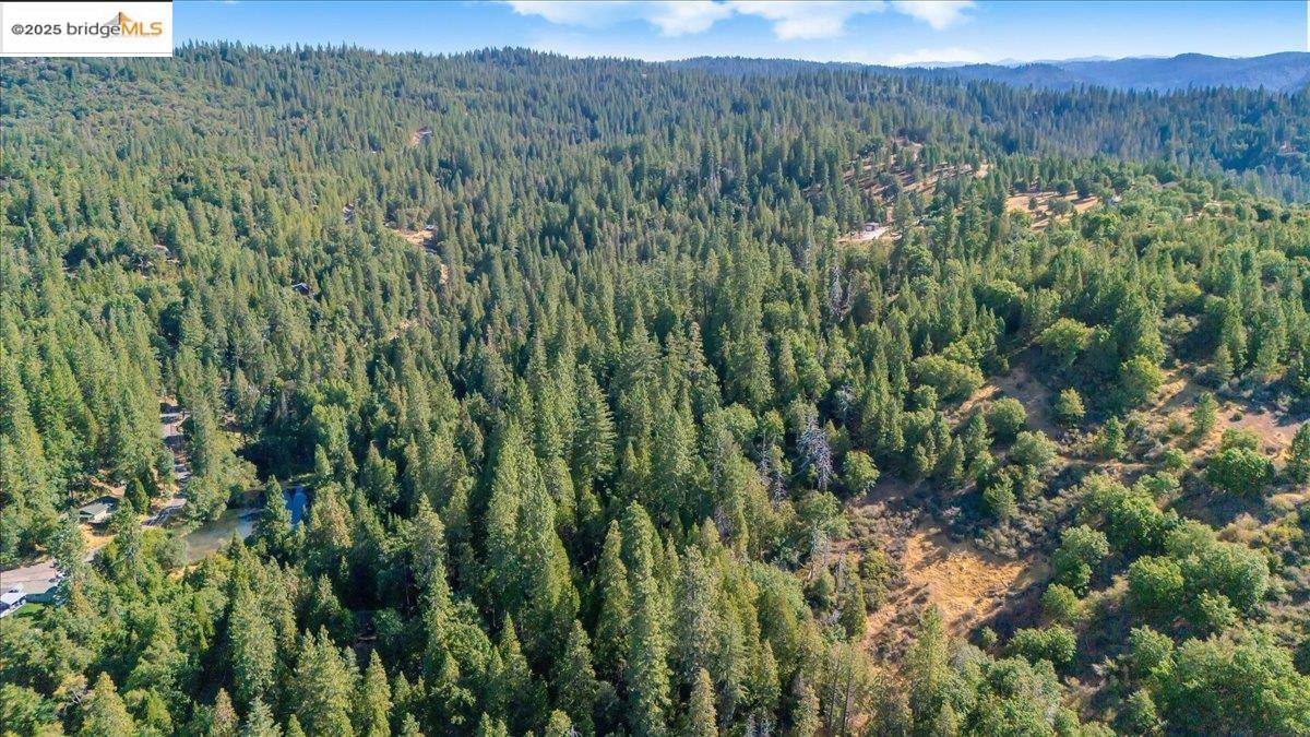 0 Fallen Leaf LN, Twain Harte CA 95383 — photo 13