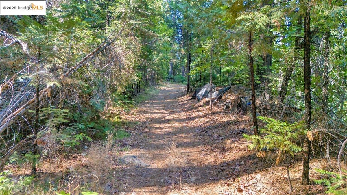 0 Fallen Leaf LN, Twain Harte CA 95383 — photo 5