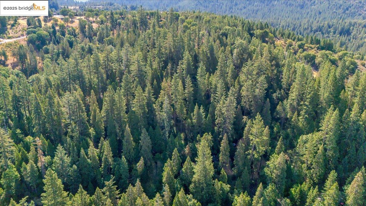 0 Fallen Leaf LN, Twain Harte CA 95383 — photo 6