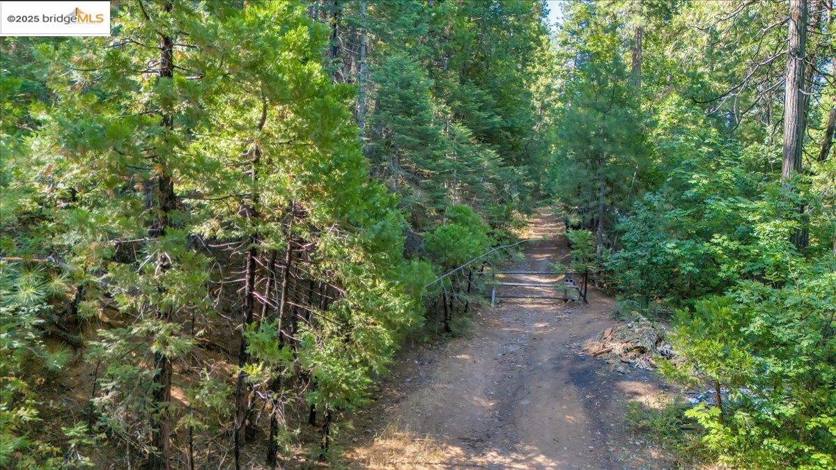 0 Fallen Leaf LN, Twain Harte CA 95383 — photo 7