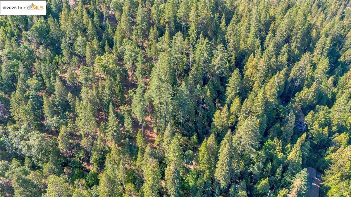 0 Fallen Leaf LN, Twain Harte CA 95383 — photo 8
