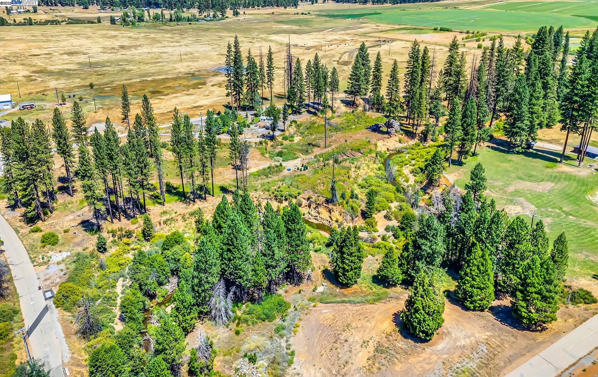 Detail Gallery Image 1 of 16 For 185 Spirit Spgs, Greenville,  CA 95947 - – Beds | – Baths