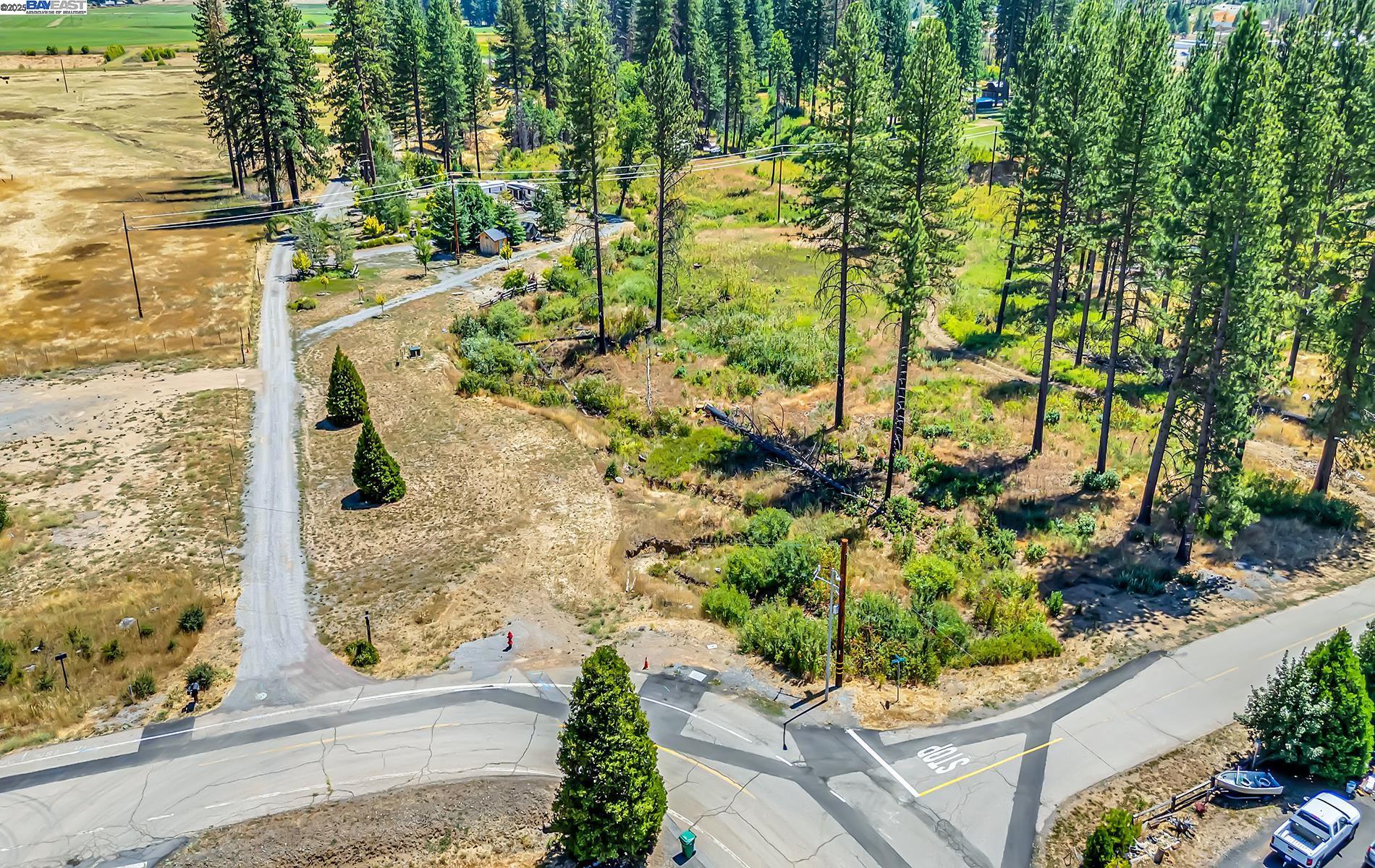 Detail Gallery Image 6 of 16 For 185 Spirit Spgs, Greenville,  CA 95947 - – Beds | – Baths