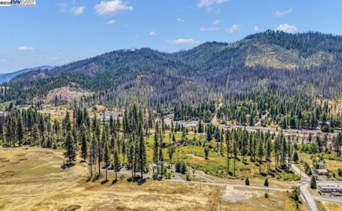 Detail Gallery Image 11 of 16 For 185 Spirit Spgs, Greenville,  CA 95947 - – Beds | – Baths