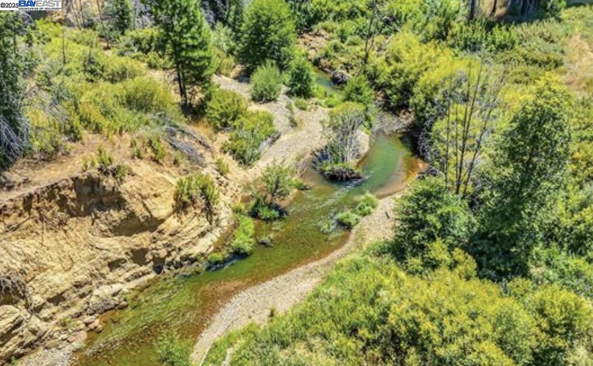 Detail Gallery Image 12 of 16 For 185 Spirit Spgs, Greenville,  CA 95947 - – Beds | – Baths