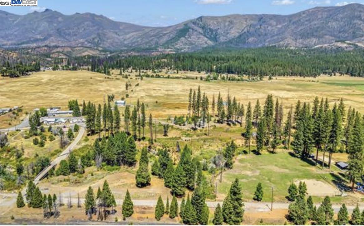 Detail Gallery Image 14 of 16 For 185 Spirit Spgs, Greenville,  CA 95947 - – Beds | – Baths