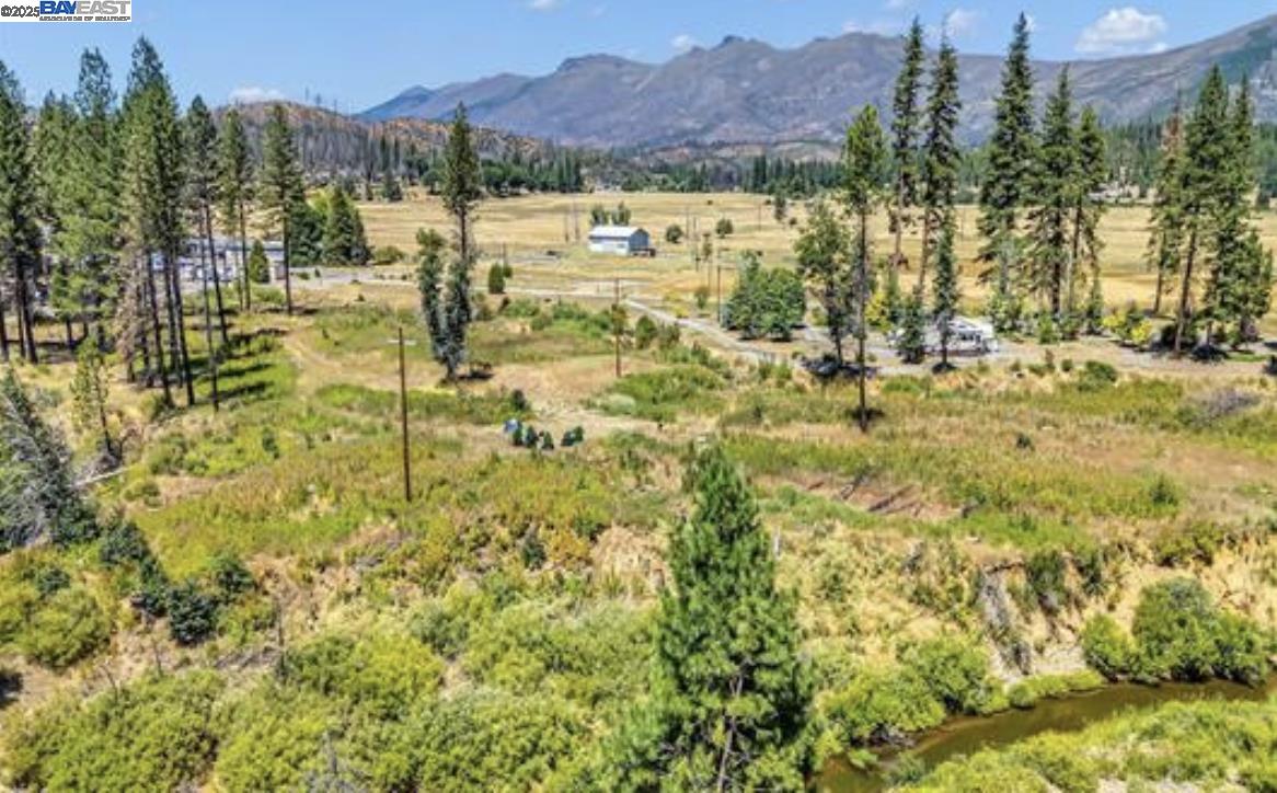 Detail Gallery Image 15 of 16 For 185 Spirit Spgs, Greenville,  CA 95947 - – Beds | – Baths