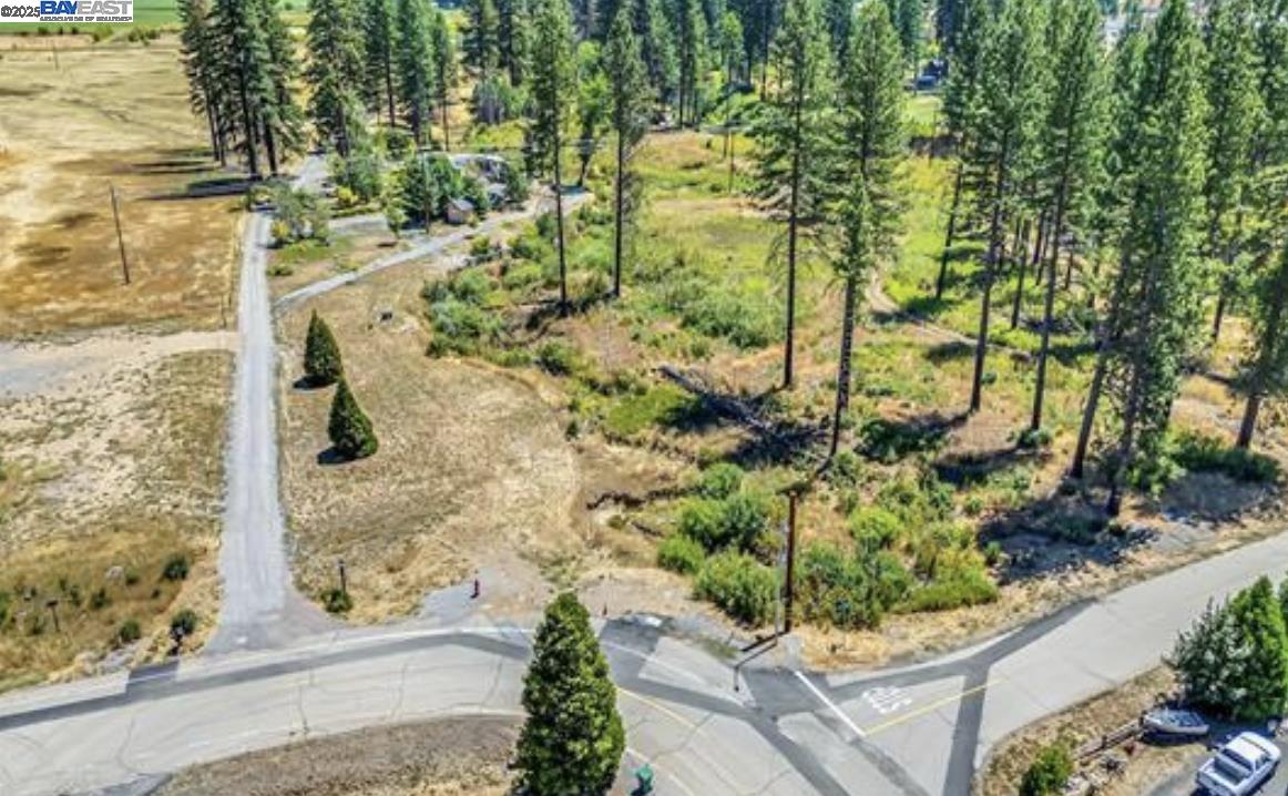 Detail Gallery Image 6 of 16 For 185 Spirit Spgs, Greenville,  CA 95947 - – Beds | – Baths