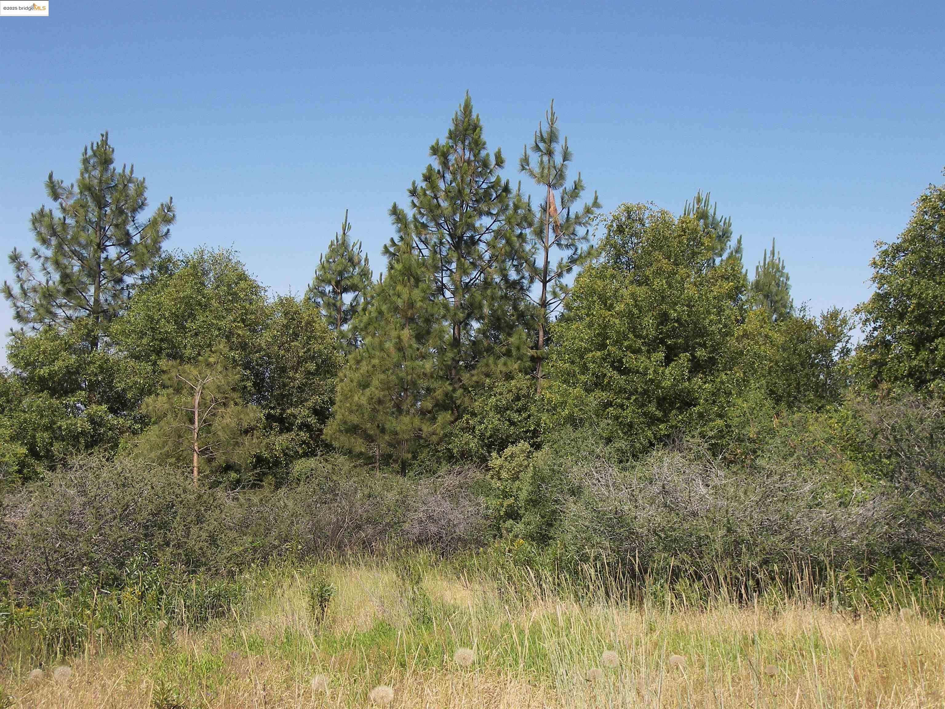 Front Image Thumbnail for EB41109338