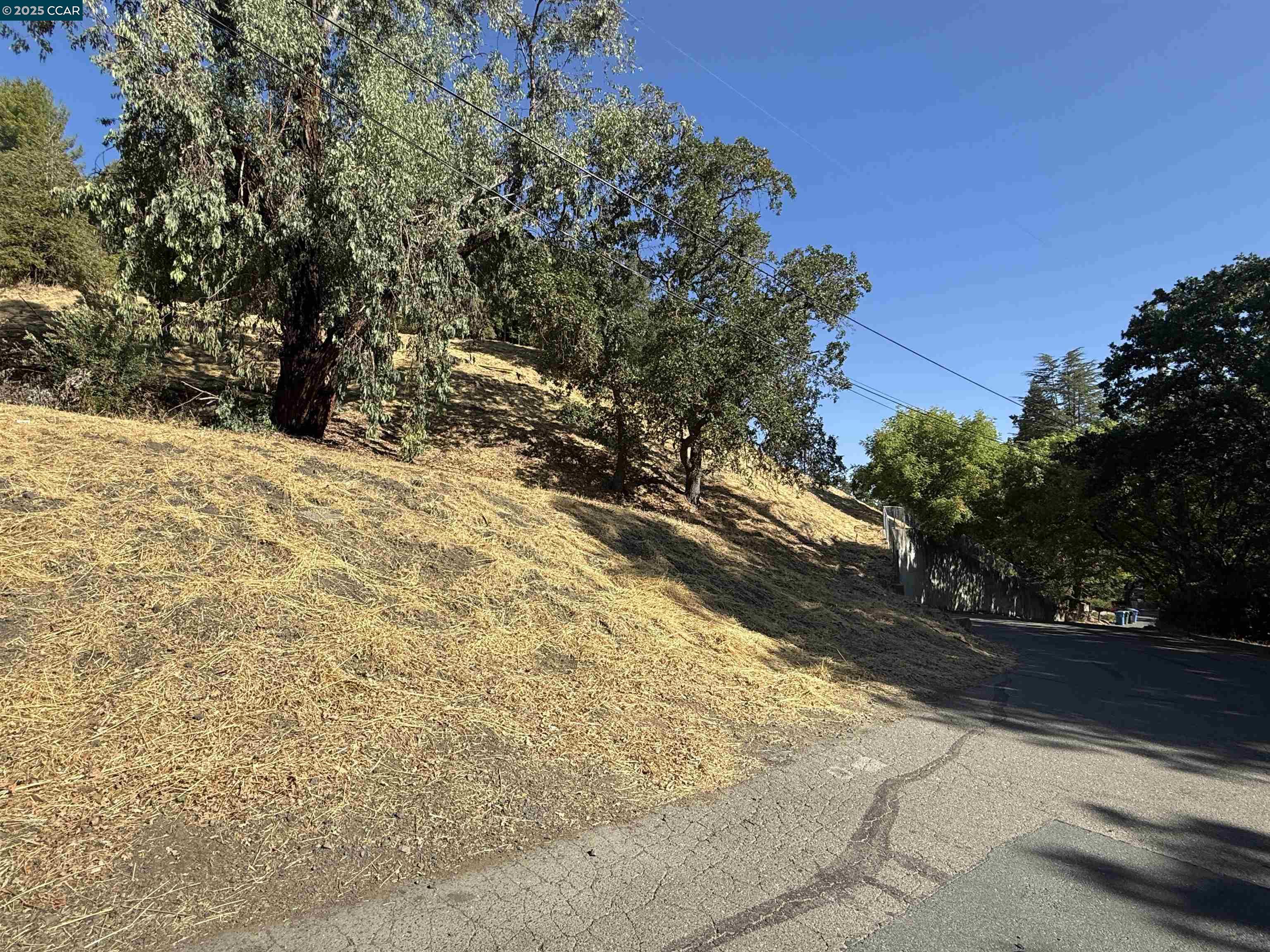 Front Image Thumbnail for CC41110548