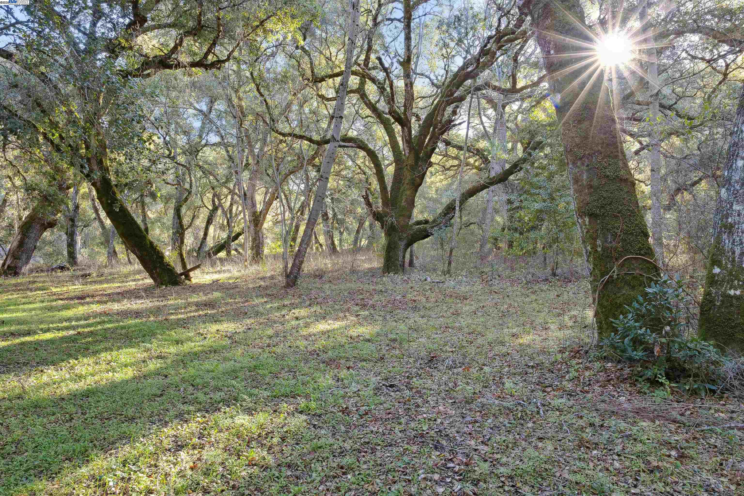 11 Arroyo Sequoia, Carmel CA 93923 — photo 3
