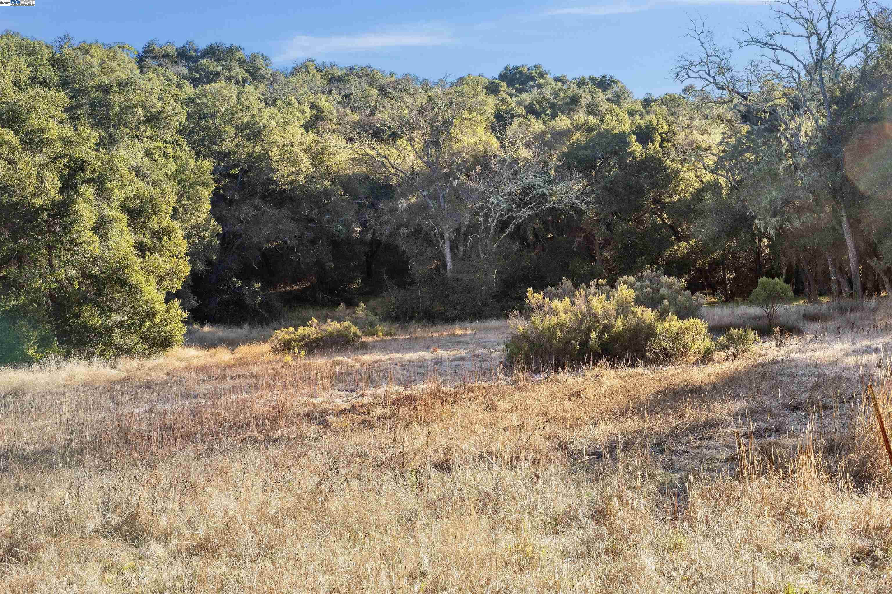 11 Arroyo Sequoia, Carmel CA 93923 — photo 9