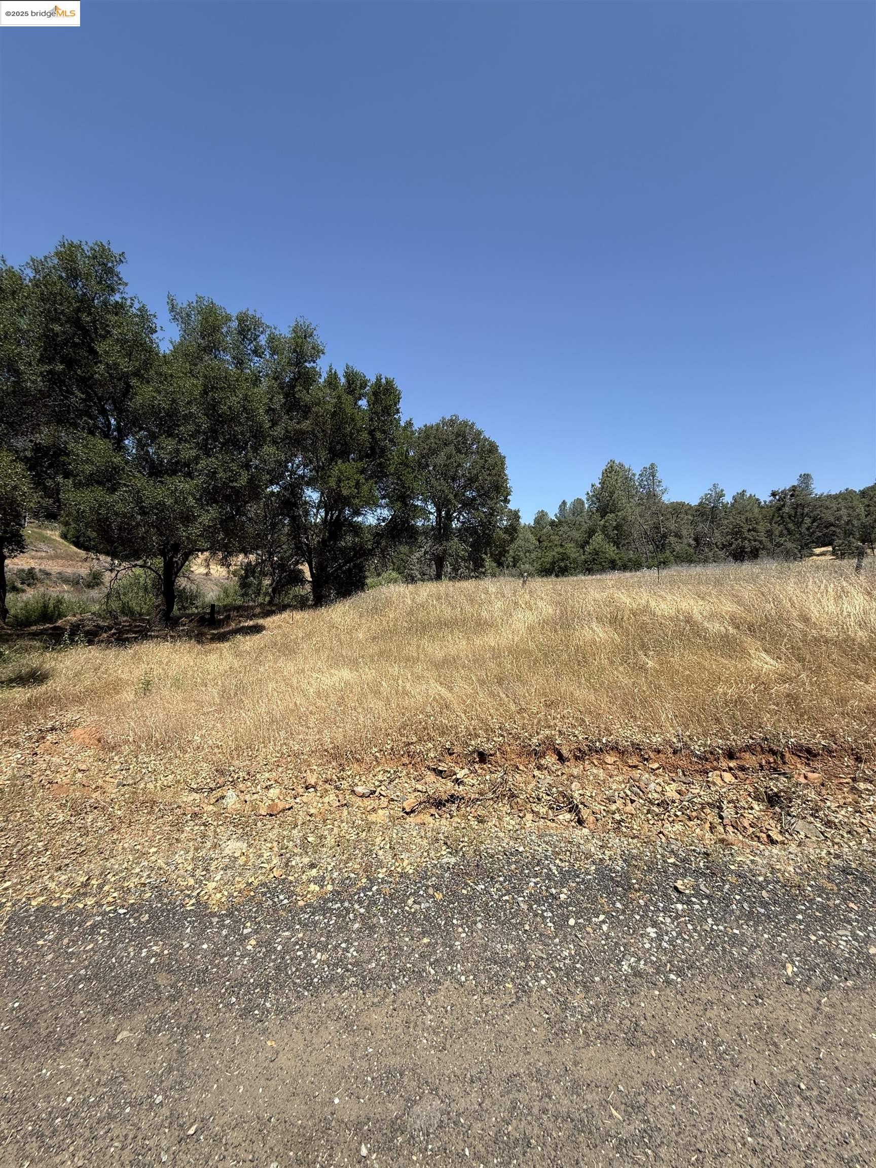 5306 Greeley Hill Road, Coulterville CA 95311 — photo 5