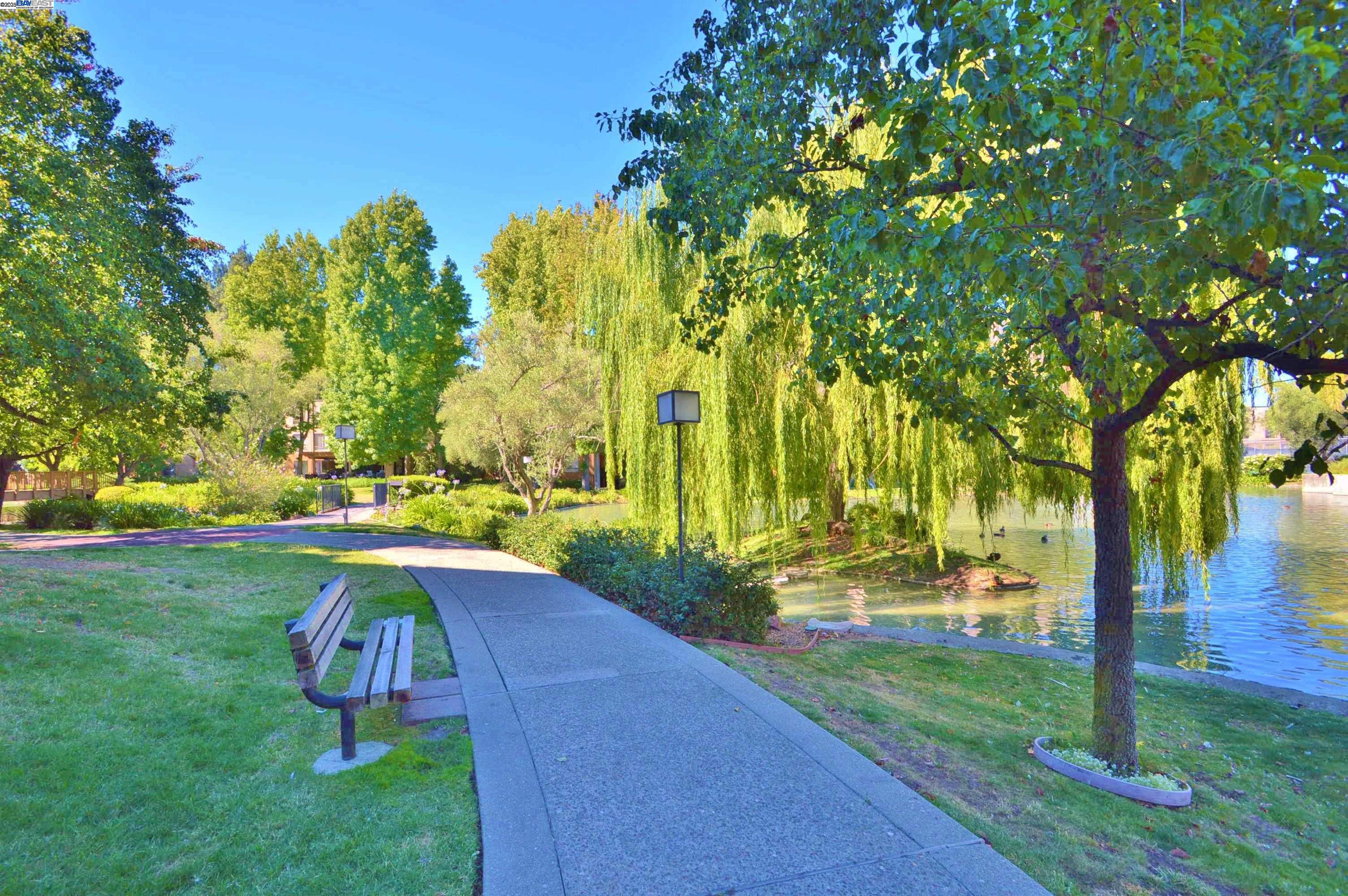 Photo #34: 41110905 Listing: Photo #34