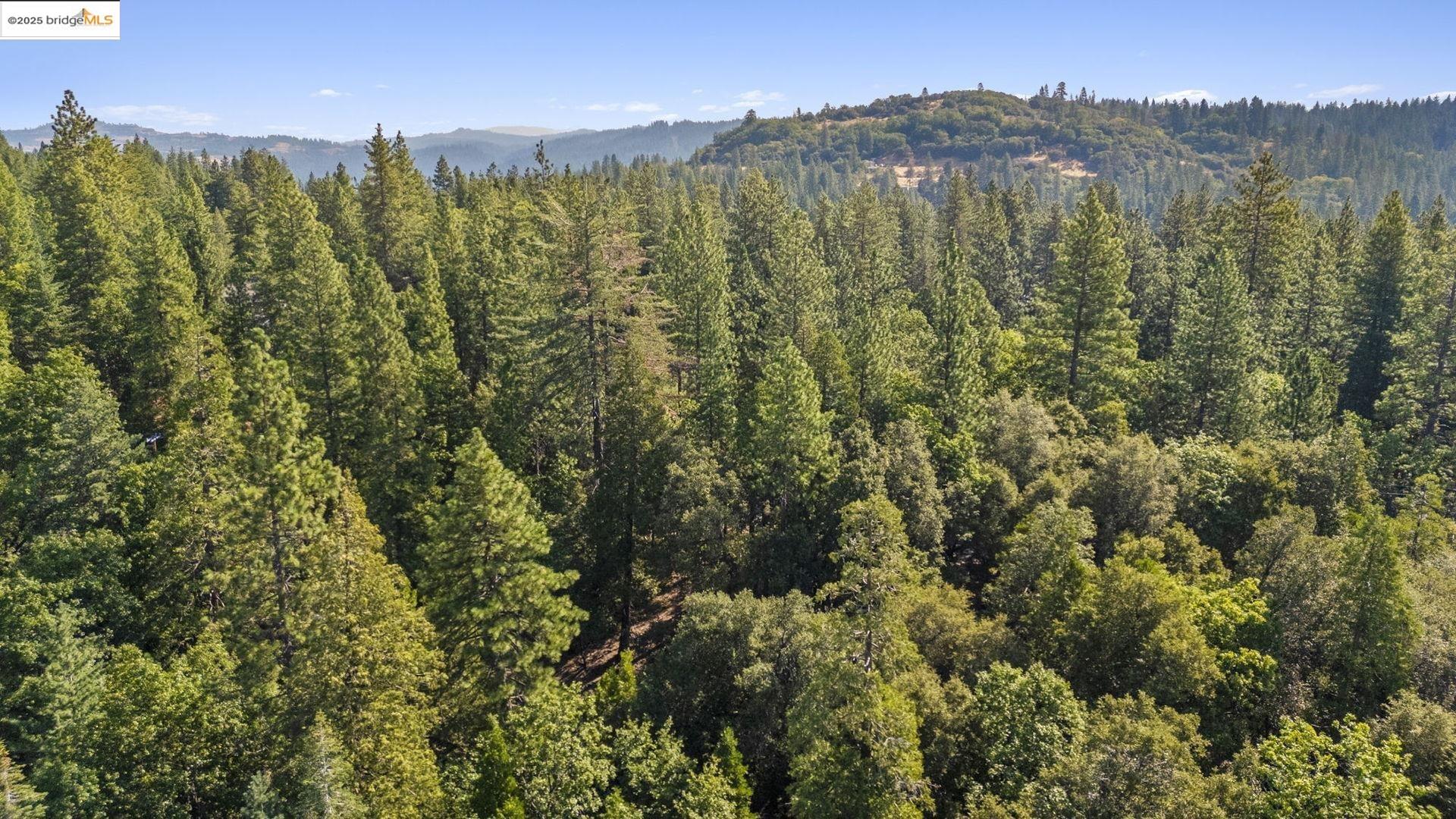 23744 Mount Elizabeth Rd, Twain Harte, CA, 95383