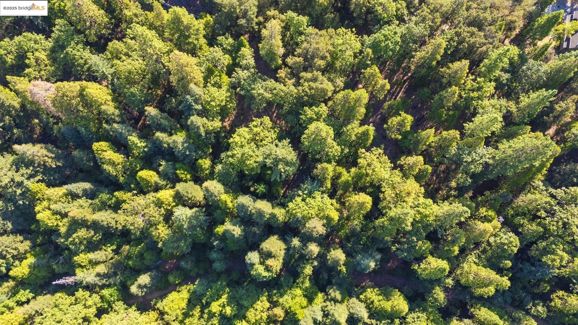 23744 Mount Elizabeth Rd, Twain Harte, CA, 95383