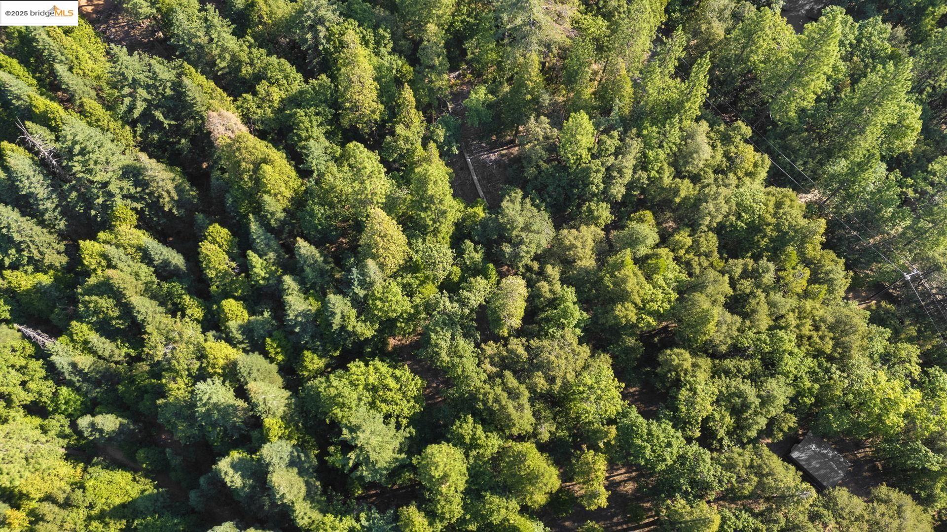 23744 Mount Elizabeth Rd, Twain Harte, CA, 95383