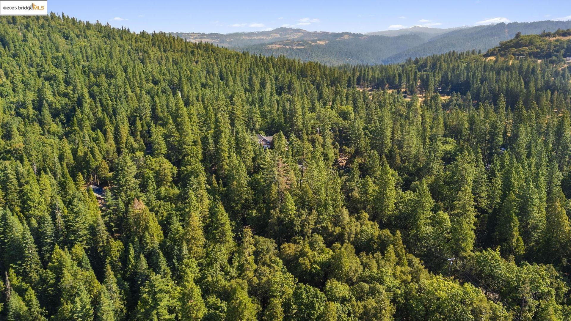 23744 Mount Elizabeth Rd, Twain Harte, CA, 95383