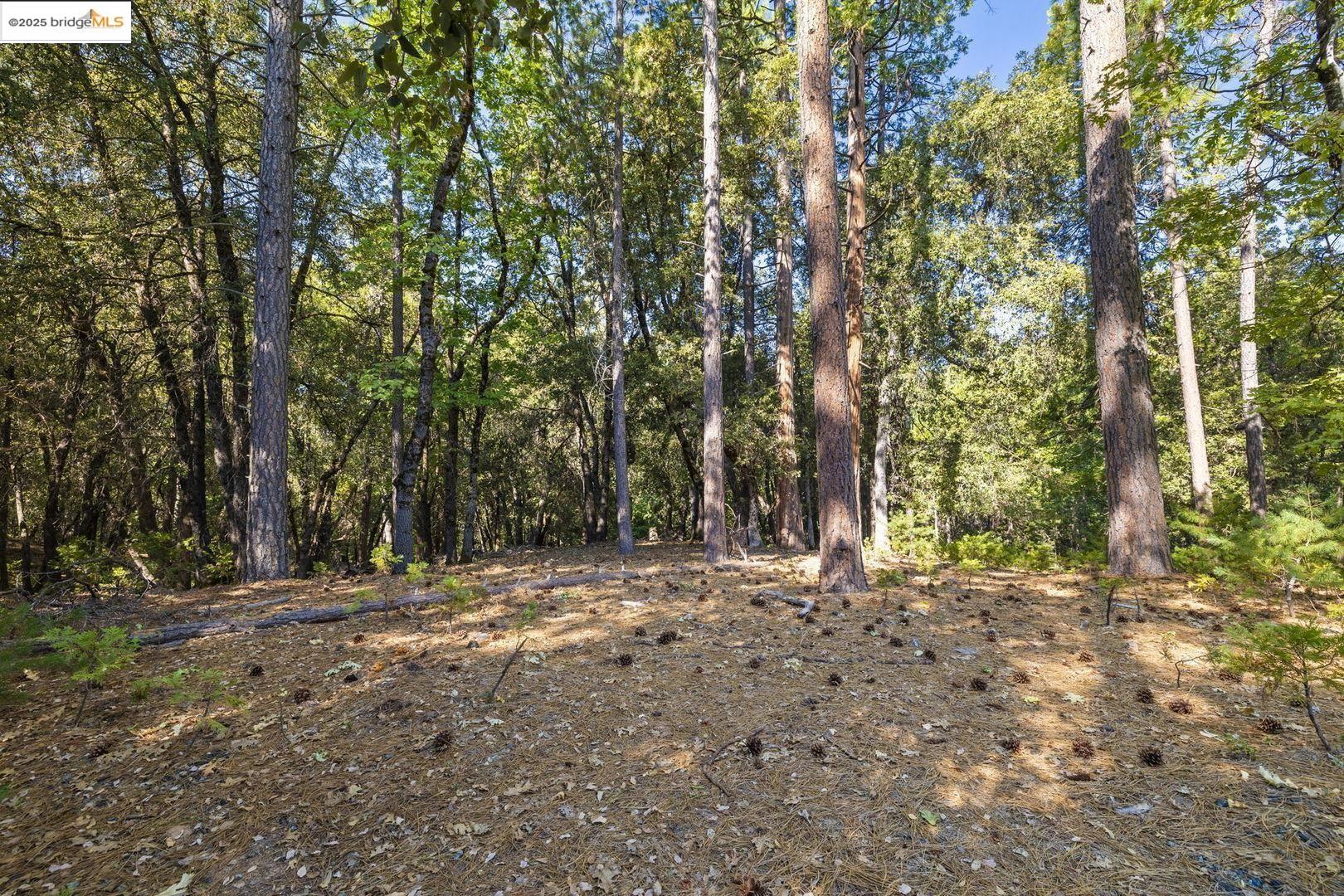 23744 Mount Elizabeth Rd, Twain Harte, CA, 95383