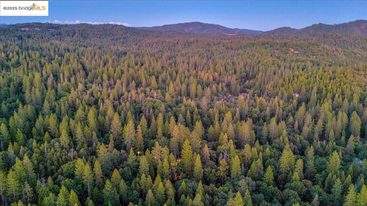 22732 Middle Camp RD, Sonora CA 95370 — photo 39