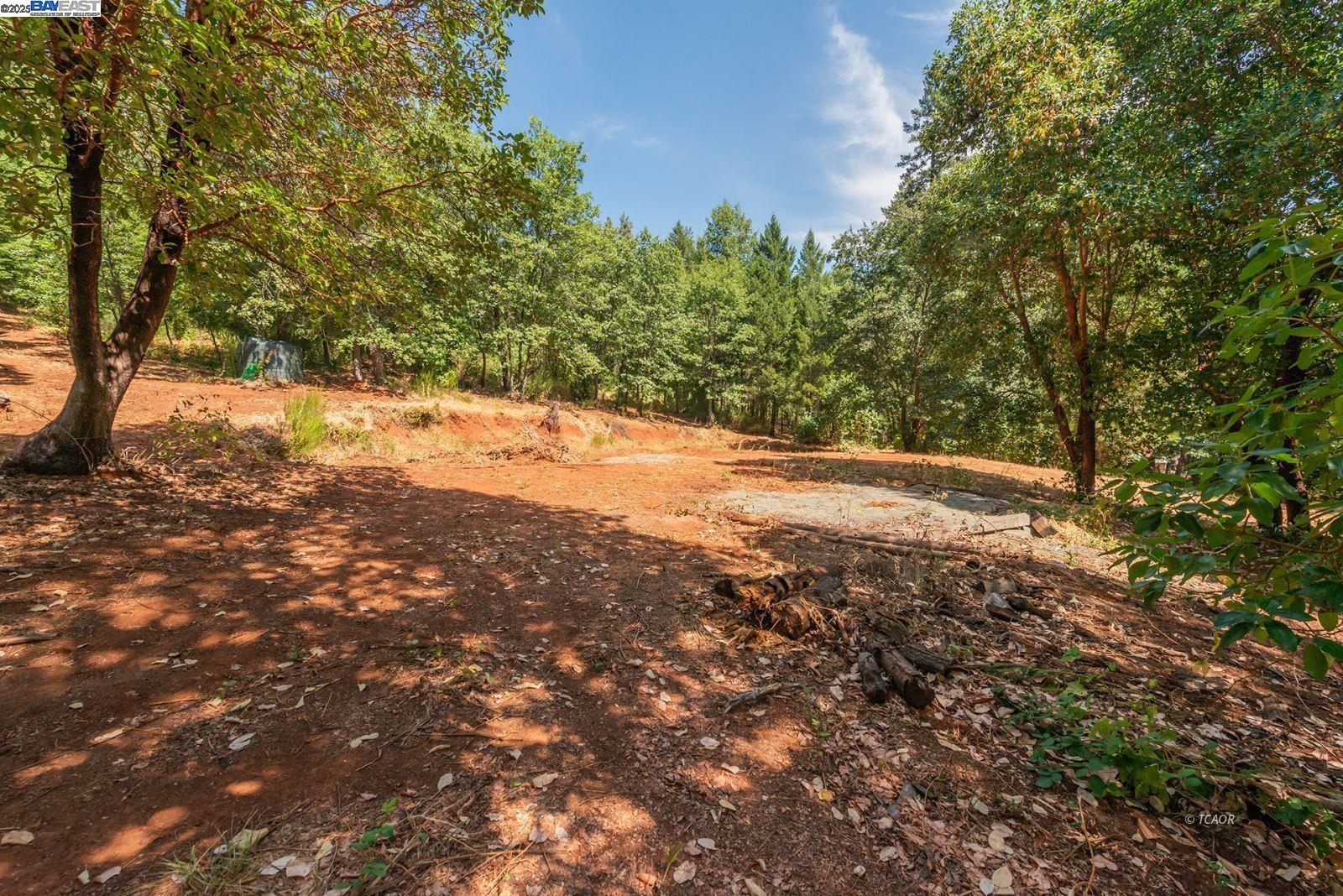 171 Connor Creek Rd, Junction City CA 96048
